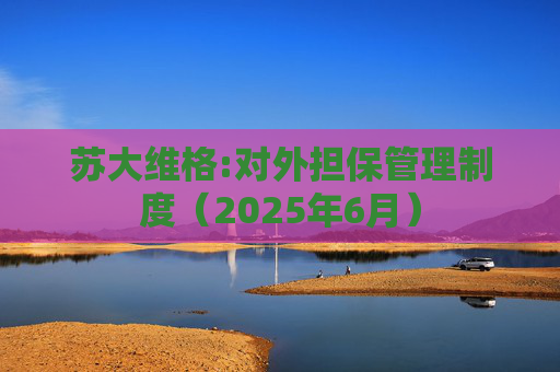 苏大维格:对外担保管理制度（2025年6月）