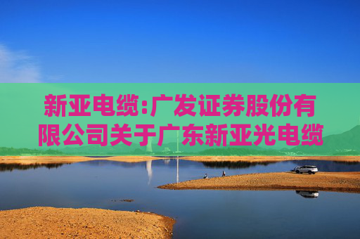 新亚电缆:广发证券股份有限公司关于广东新亚光电缆股份有限公司调整部分募投项目实施地点及内部投资结构的核查意见