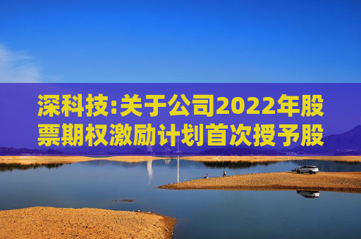 深科技:关于公司2022年股票期权激励计划首次授予股票期权第一个行权期行权条件成就的公告  第1张