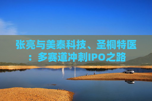张亮与美泰科技、圣桐特医:多赛道冲刺IPO之路