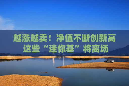 越涨越卖！净值不断创新高 这些“迷你基”将离场