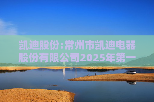 凯迪股份:常州市凯迪电器股份有限公司2025年第一次临时股东会决议公告