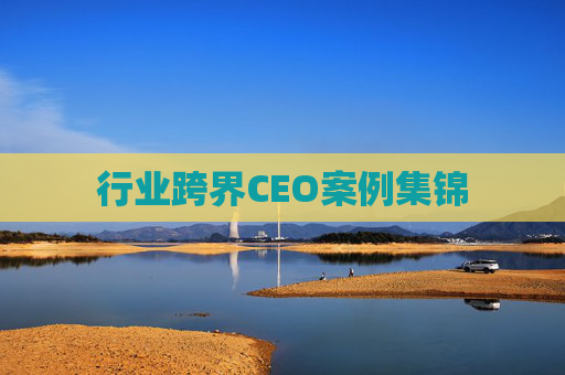 行业跨界CEO案例集锦  第1张