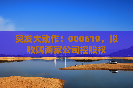 突发大动作！000619，拟收购两家公司控股权