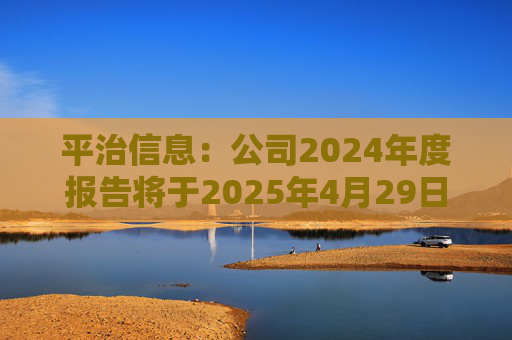 平治信息：公司2024年度报告将于2025年4月29日披露