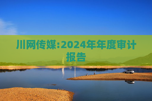 川网传媒:2024年年度审计报告