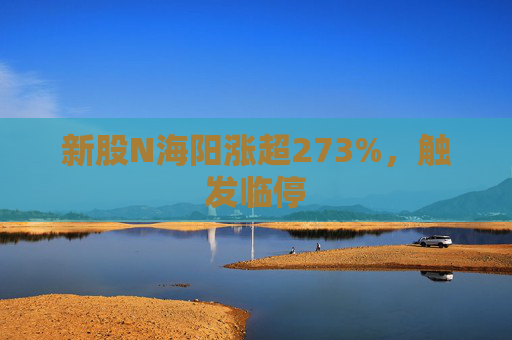 新股N海阳涨超273%，触发临停