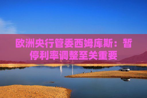 欧洲央行管委西姆库斯：暂停利率调整至关重要