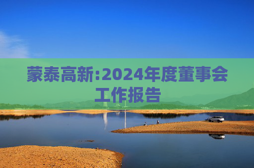 蒙泰高新:2024年度董事会工作报告
