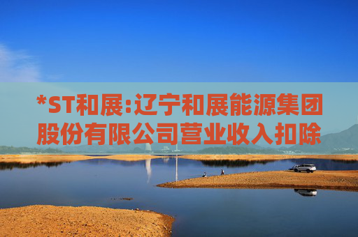 *ST和展:辽宁和展能源集团股份有限公司营业收入扣除情况表专项核查报告