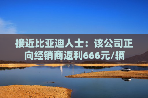 接近比亚迪人士：该公司正向经销商返利666元/辆  第1张