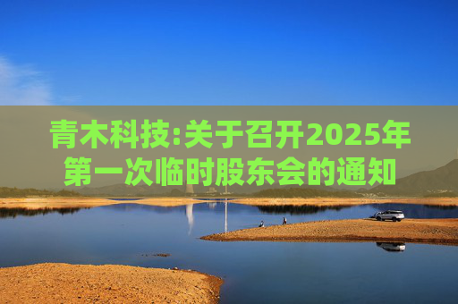 青木科技:关于召开2025年第一次临时股东会的通知  第1张