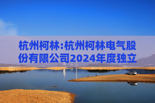杭州柯林:杭州柯林电气股份有限公司2024年度独立董事述职报告（毛卫民）