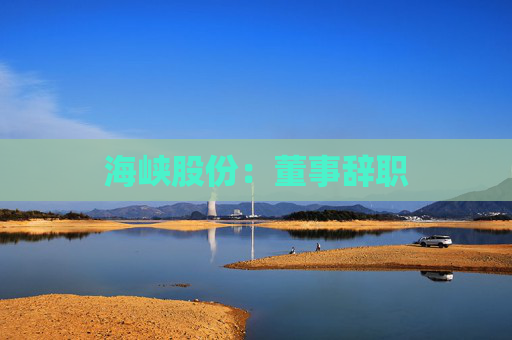 海峡股份：董事辞职  第1张