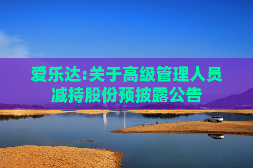 爱乐达:关于高级管理人员减持股份预披露公告