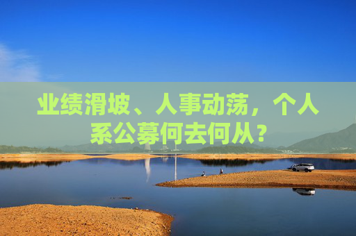 业绩滑坡、人事动荡，个人系公募何去何从？