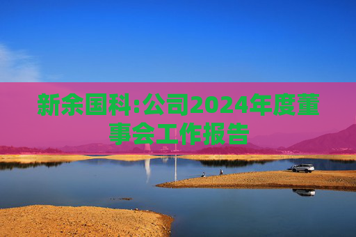 新余国科:公司2024年度董事会工作报告  第1张