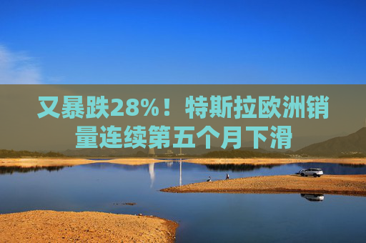 又暴跌28%！特斯拉欧洲销量连续第五个月下滑  第1张