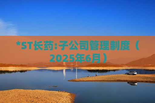 *ST长药:子公司管理制度（2025年6月）  第1张