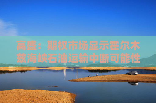 高盛：期权市场显示霍尔木兹海峡石油运输中断可能性很小