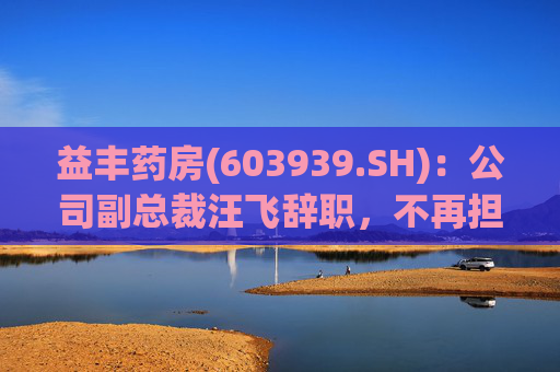 益丰药房(603939.SH)：公司副总裁汪飞辞职，不再担任公司其他职务  第1张