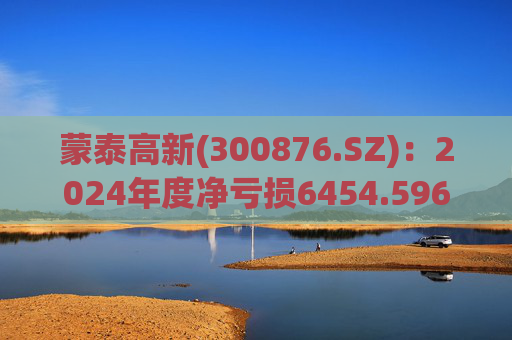 蒙泰高新(300876.SZ)：2024年度净亏损6454.596万元