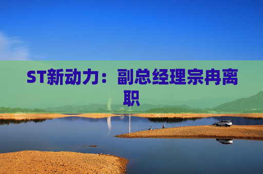 ST新动力：副总经理宗冉离职