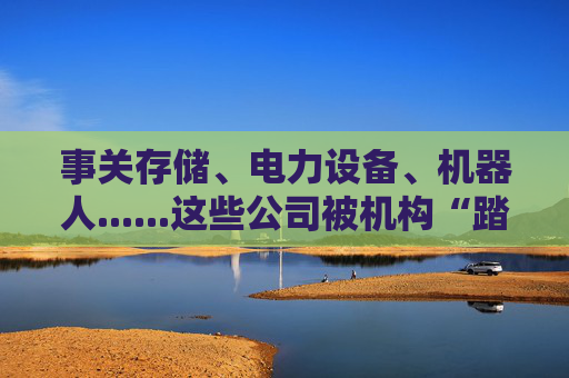 事关存储、电力设备、机器人......这些公司被机构“踏破门槛” 第1张 事关存储、电力设备、机器人......这些公司被机构“踏破门槛” 第1张