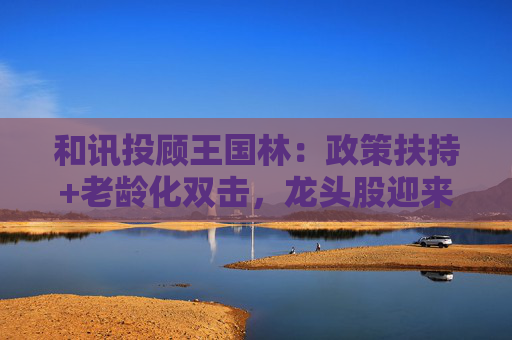 和讯投顾王国林：政策扶持+老龄化双击，龙头股迎来估值拐点！