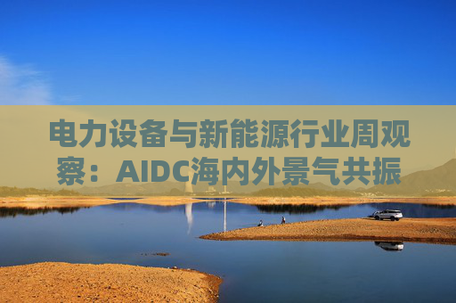 电力设备与新能源行业周观察：AIDC海内外景气共振 储能需求向好发展