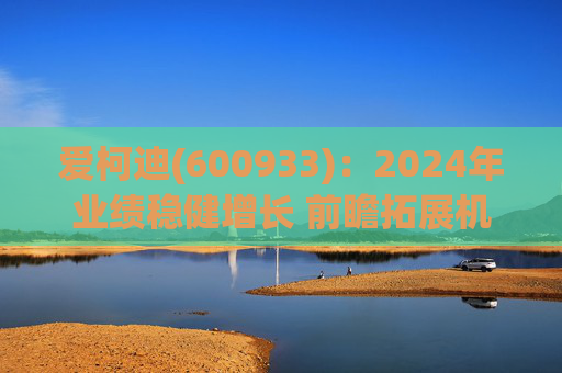 爱柯迪(600933)：2024年业绩稳健增长 前瞻拓展机器人相关业务  第1张