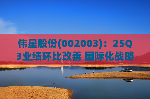 伟星股份(002003)：25Q3业绩环比改善 国际化战略保障成长  第1张
