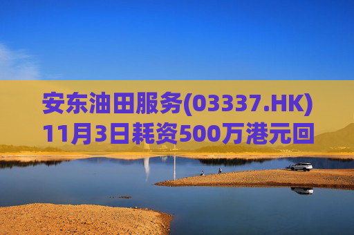 安东油田服务(03337.HK)11月3日耗资500万港元回购472万股
