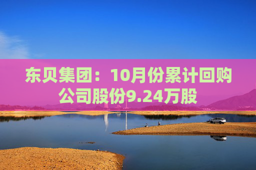 东贝集团：10月份累计回购公司股份9.24万股  第1张