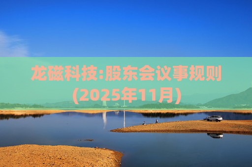 龙磁科技:股东会议事规则(2025年11月)