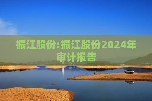 振江股份:振江股份2024年审计报告  第1张