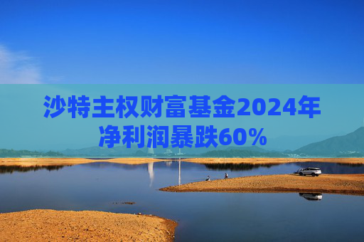 沙特主权财富基金2024年净利润暴跌60%  第1张