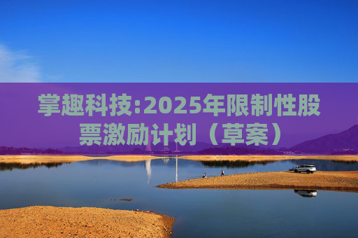 掌趣科技:2025年限制性股票激励计划（草案）