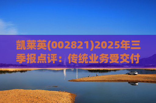 凯莱英(002821)2025年三季报点评：传统业务受交付节奏影响 新兴业务加速放量