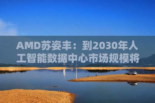 AMD苏姿丰：到2030年人工智能数据中心市场规模将达1万亿美元