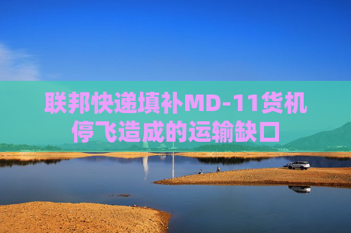 联邦快递填补MD-11货机停飞造成的运输缺口