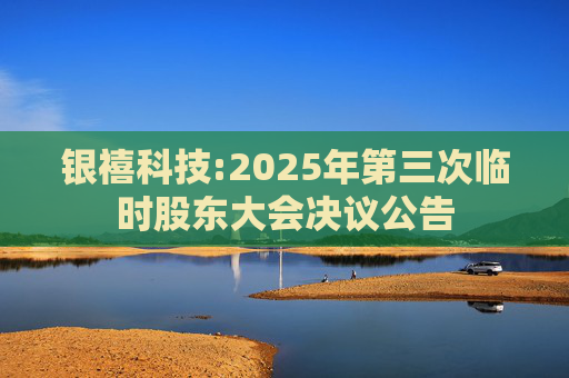 银禧科技:2025年第三次临时股东大会决议公告