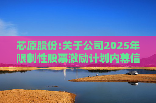 芯原股份:关于公司2025年限制性股票激励计划内幕信息知情人买卖公司股票情况的自查报告
