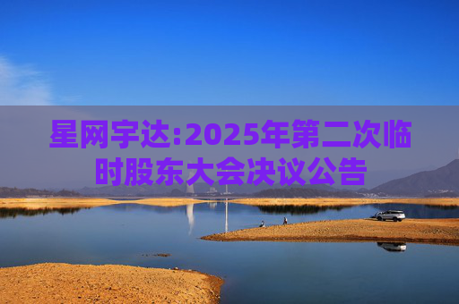 星网宇达:2025年第二次临时股东大会决议公告  第1张