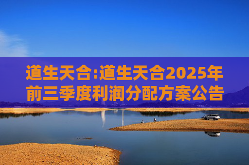 道生天合:道生天合2025年前三季度利润分配方案公告