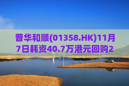 普华和顺(01358.HK)11月7日耗资40.7万港元回购29.5万股