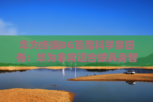 华为终端BG首席科学家田奇：华为非常适合做具身智能
