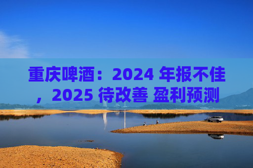 重庆啤酒：2024 年报不佳，2025 待改善 盈利预测  第1张