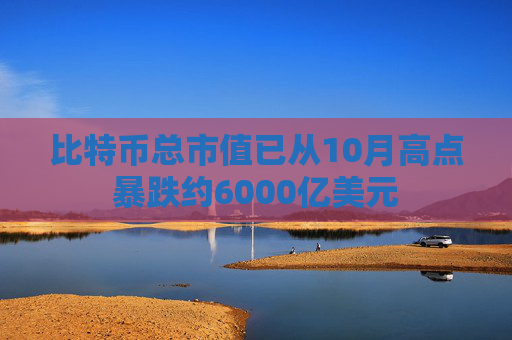 比特币总市值已从10月高点暴跌约6000亿美元  第1张