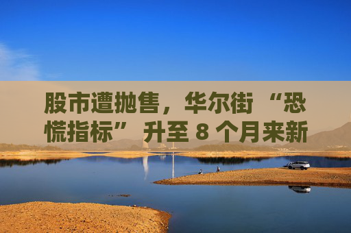 股市遭抛售，华尔街 “恐慌指标” 升至 8 个月来新高  第1张
